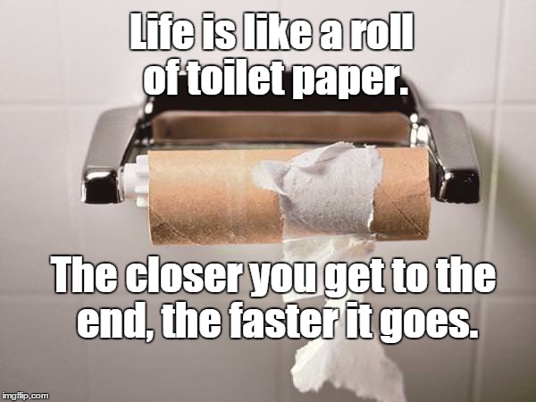 Don't waste a square! | Life is like a roll of toilet paper. The closer you get to the end, the faster it goes. | image tagged in toilet paper,life,memes,wisdom | made w/ Imgflip meme maker
