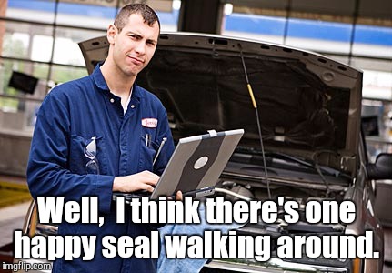 335267-...nic.jpg | Well,  I think there's one happy seal walking around. | image tagged in 335267-nicjpg | made w/ Imgflip meme maker