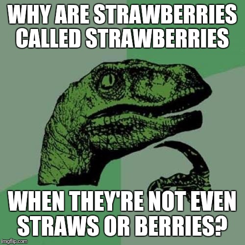 Philosoraptor | WHY ARE STRAWBERRIES CALLED STRAWBERRIES; WHEN THEY'RE NOT EVEN STRAWS OR BERRIES? | image tagged in memes,philosoraptor | made w/ Imgflip meme maker