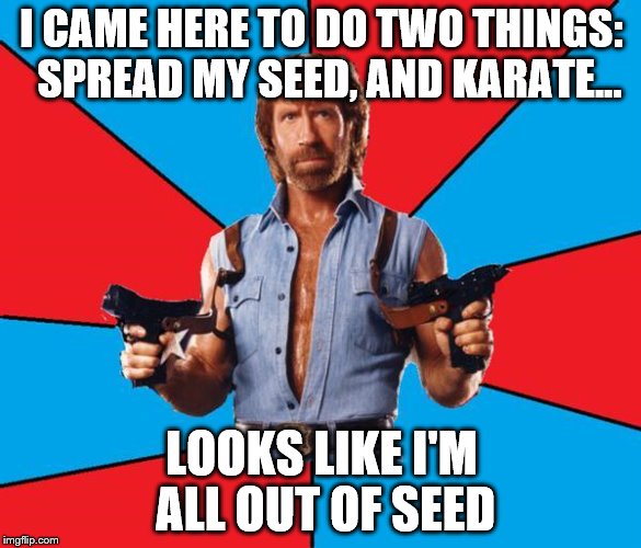 Chuck Norris With Guns Meme | I CAME HERE TO DO TWO THINGS:  SPREAD MY SEED, AND KARATE... LOOKS LIKE I'M ALL OUT OF SEED | image tagged in memes,chuck norris with guns,chuck norris | made w/ Imgflip meme maker