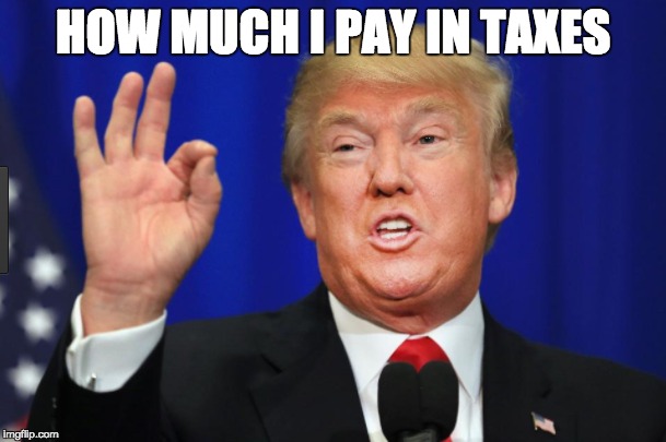 HOW MUCH I PAY IN TAXES | image tagged in memes | made w/ Imgflip meme maker