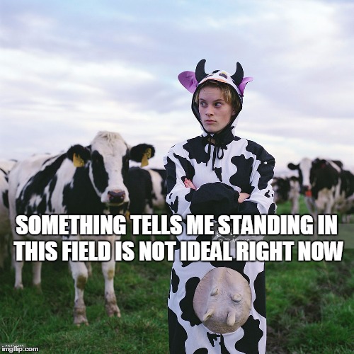 SOMETHING TELLS ME STANDING IN THIS FIELD IS NOT IDEAL RIGHT NOW | made w/ Imgflip meme maker