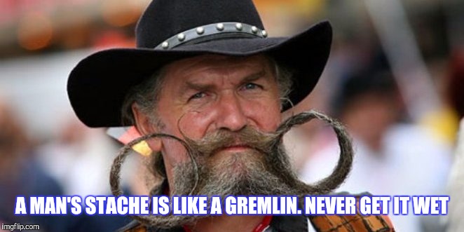 A MAN'S STACHE IS LIKE A GREMLIN. NEVER GET IT WET | made w/ Imgflip meme maker
