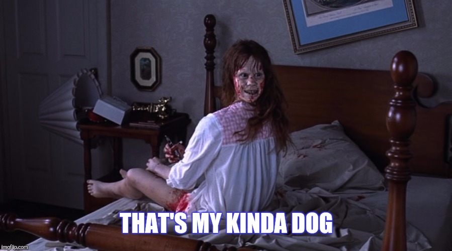 THAT'S MY KINDA DOG | made w/ Imgflip meme maker