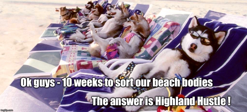 Huskies at beach | Ok guys - 10 weeks to sort our beach bodies; The answer is Highland Hustle ! | image tagged in huskies at beach,hustle,beach body | made w/ Imgflip meme maker