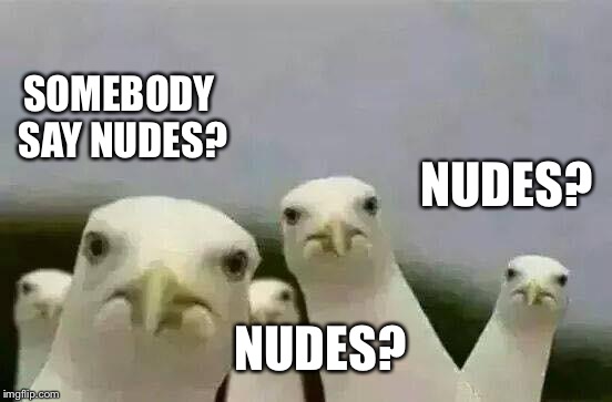Seagulls_Mine | SOMEBODY SAY NUDES? NUDES? NUDES? | image tagged in seagulls_mine | made w/ Imgflip meme maker