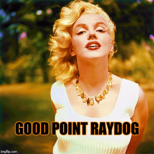 GOOD POINT RAYDOG | made w/ Imgflip meme maker