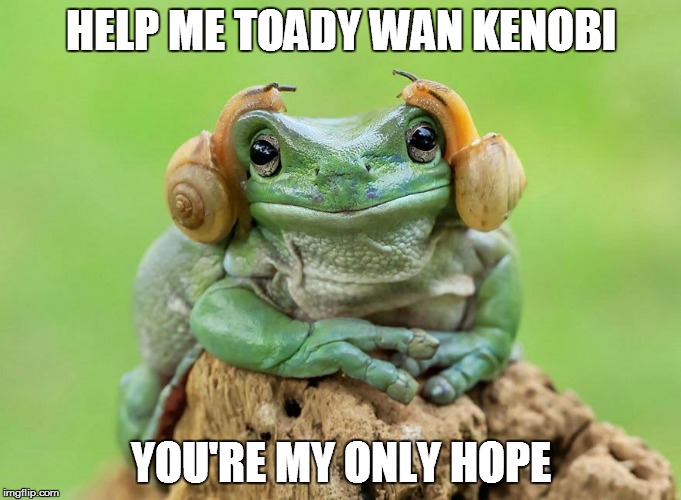 COSPLAY Blase | HELP ME TOADY WAN KENOBI; YOU'RE MY ONLY HOPE | image tagged in meme,funny meme,snail toad,princess leia,leia toad,leia frog | made w/ Imgflip meme maker