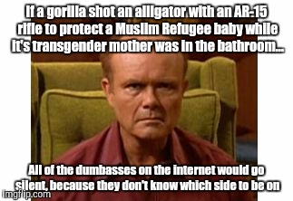Red Foreman | If a gorilla shot an alligator with an AR-15 rifle to protect a Muslim Refugee baby while it's transgender mother was in the bathroom... All of the dumbasses on the internet would go silent, because they don't know which side to be on | image tagged in red forman,memes,trans,muslim,ar-15,dumbasses | made w/ Imgflip meme maker
