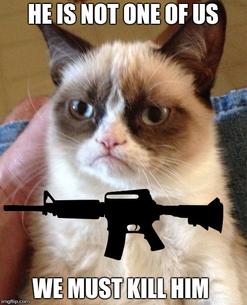 Grumpy Cat Meme | HE IS NOT ONE OF US WE MUST KILL HIM | image tagged in memes,grumpy cat | made w/ Imgflip meme maker