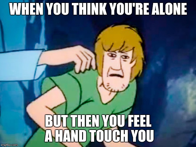 This picture is too funny. | WHEN YOU THINK YOU'RE ALONE; BUT THEN YOU FEEL A HAND TOUCH YOU | image tagged in shaggy meme,memes | made w/ Imgflip meme maker