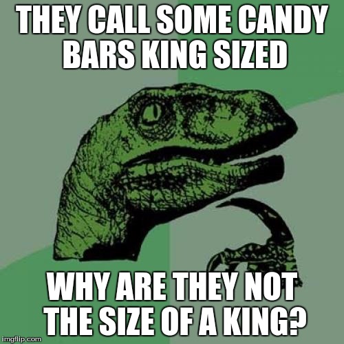 Philosoraptor Meme | THEY CALL SOME CANDY BARS KING SIZED; WHY ARE THEY NOT THE SIZE OF A KING? | image tagged in memes,philosoraptor | made w/ Imgflip meme maker