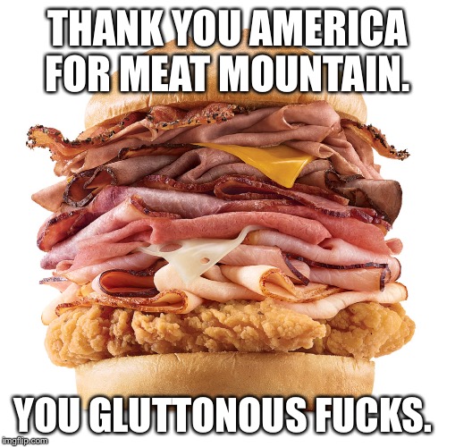 Arby's best sandwich | THANK YOU AMERICA FOR MEAT MOUNTAIN. YOU GLUTTONOUS FUCKS. | image tagged in meat mountain,sandwich,america,arby's | made w/ Imgflip meme maker