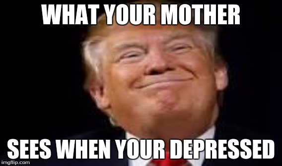 WHAT YOUR MOTHER; SEES WHEN YOUR DEPRESSED | image tagged in politics | made w/ Imgflip meme maker