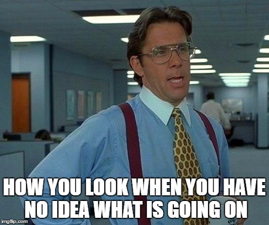 That Would Be Great | HOW YOU LOOK WHEN YOU HAVE NO IDEA WHAT IS GOING ON | image tagged in memes,that would be great | made w/ Imgflip meme maker