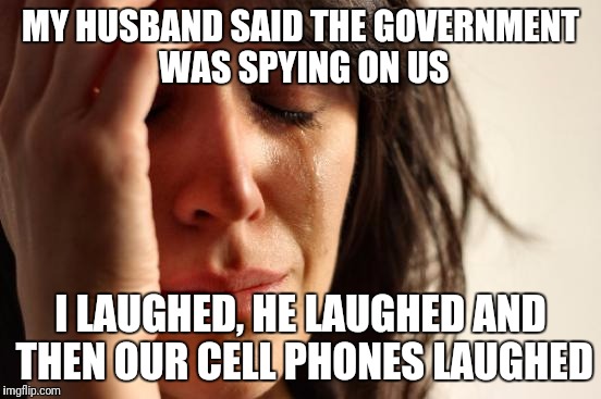 The microwave started laughing to | MY HUSBAND SAID THE GOVERNMENT WAS SPYING ON US; I LAUGHED, HE LAUGHED AND THEN OUR CELL PHONES LAUGHED | image tagged in memes,first world problems,government | made w/ Imgflip meme maker