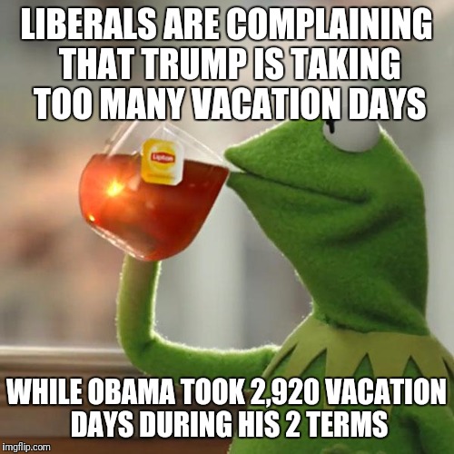 But That's None Of My Business | LIBERALS ARE COMPLAINING THAT TRUMP IS TAKING TOO MANY VACATION DAYS; WHILE OBAMA TOOK 2,920 VACATION DAYS DURING HIS 2 TERMS | image tagged in memes,but thats none of my business,kermit the frog | made w/ Imgflip meme maker