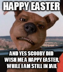 Scrappy Doo | HAPPY EASTER; AND YES SCOOBY DID WISH ME A HAPPY EASTER, WHILE I AM STILL IN JAIL | image tagged in scrappy doo | made w/ Imgflip meme maker