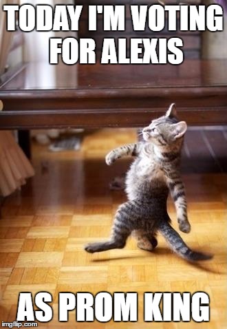 Cool Cat Stroll | TODAY I'M VOTING FOR ALEXIS; AS PROM KING | image tagged in memes,cool cat stroll | made w/ Imgflip meme maker