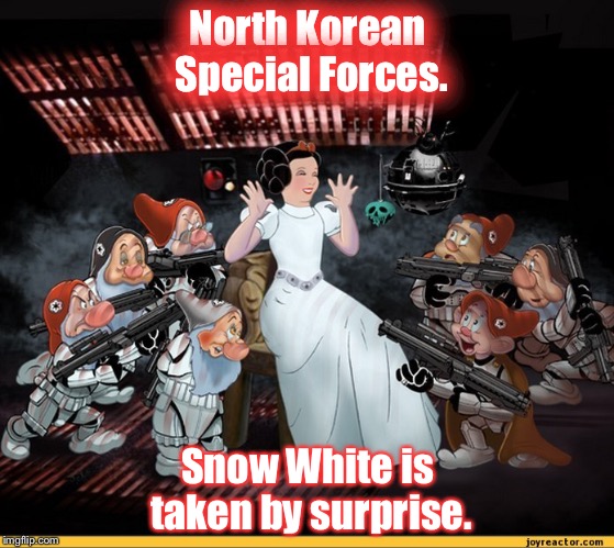 North Korean Special Forces. Snow White is taken by surprise. | image tagged in north korea special forces | made w/ Imgflip meme maker