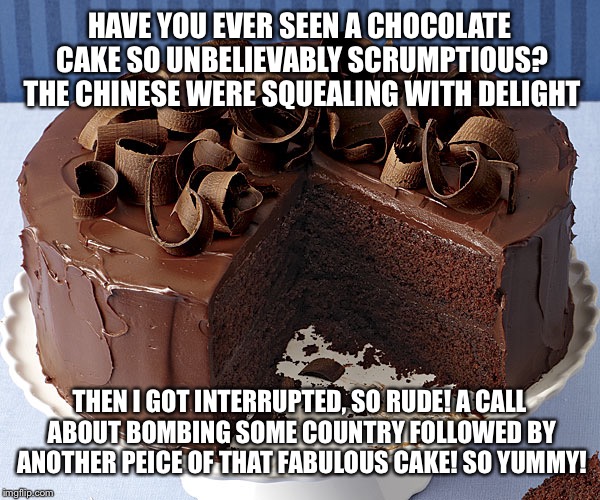 HAVE YOU EVER SEEN A CHOCOLATE CAKE SO UNBELIEVABLY SCRUMPTIOUS? THE CHINESE WERE SQUEALING WITH DELIGHT THEN I GOT INTERRUPTED, SO RUDE! A  | made w/ Imgflip meme maker