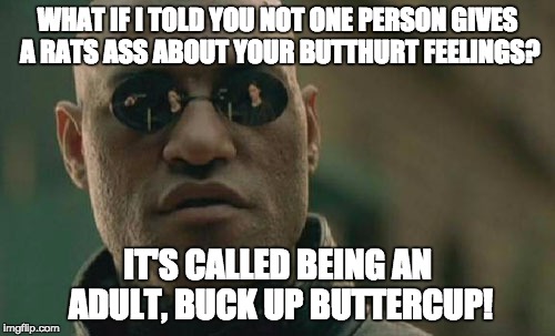 Matrix Morpheus Meme | WHAT IF I TOLD YOU NOT ONE PERSON GIVES A RATS ASS ABOUT YOUR BUTTHURT FEELINGS? IT'S CALLED BEING AN ADULT, BUCK UP BUTTERCUP! | image tagged in memes,matrix morpheus | made w/ Imgflip meme maker