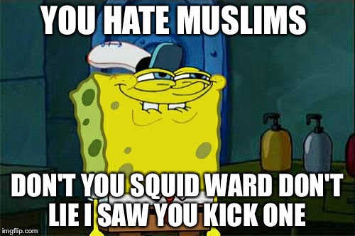 Don't You Squidward | YOU HATE MUSLIMS; DON'T YOU SQUID WARD DON'T LIE I SAW YOU KICK ONE | image tagged in memes,dont you squidward | made w/ Imgflip meme maker