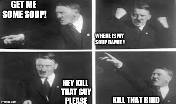 where's my soup damit | GET ME SOME SOUP! WHERE IS MY SOUP DAMIT ! HEY KILL THAT GUY PLEASE; KILL THAT BIRD | image tagged in hitler | made w/ Imgflip meme maker