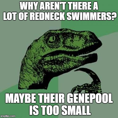 Philosoraptor | WHY AREN'T THERE A LOT OF REDNECK SWIMMERS? MAYBE THEIR GENEPOOL IS TOO SMALL | image tagged in memes,philosoraptor | made w/ Imgflip meme maker