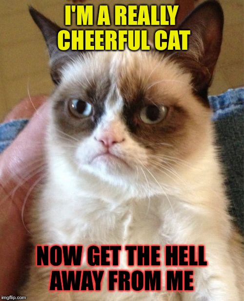Grumpy Cat | I'M A REALLY CHEERFUL CAT; NOW GET THE HELL AWAY FROM ME | image tagged in memes,grumpy cat | made w/ Imgflip meme maker