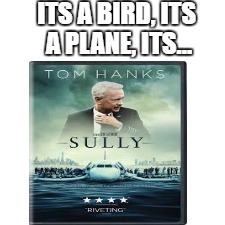 Sully | ITS A BIRD, ITS A PLANE, ITS... | image tagged in funny | made w/ Imgflip meme maker