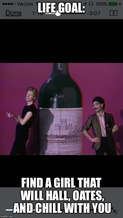 Music and Chill | LIFE GOAL:; FIND A GIRL THAT WILL HALL, OATES, AND CHILL WITH YOU | image tagged in wine and chill | made w/ Imgflip meme maker