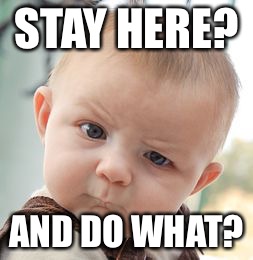 Skeptical Baby Meme | STAY HERE? AND DO WHAT? | image tagged in memes,skeptical baby | made w/ Imgflip meme maker