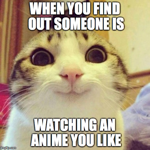 be a weaboo | WHEN YOU FIND OUT SOMEONE IS; WATCHING AN ANIME YOU LIKE | image tagged in memes,smiling cat | made w/ Imgflip meme maker