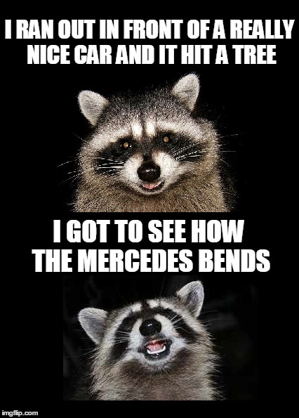 Bends. Get it?! | I RAN OUT IN FRONT OF A REALLY NICE CAR AND IT HIT A TREE; I GOT TO SEE HOW THE MERCEDES BENDS | image tagged in lame pun coon,raccoon,puns | made w/ Imgflip meme maker