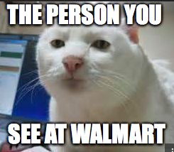  THE PERSON YOU; SEE AT WALMART | image tagged in kitty kat | made w/ Imgflip meme maker