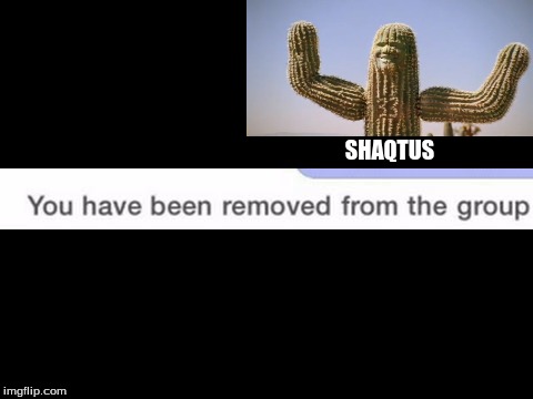 you have been removed from the group | SHAQTUS | image tagged in you have been removed from the group | made w/ Imgflip meme maker