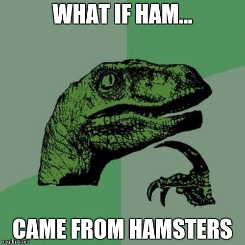Philosoraptor | WHAT IF HAM... CAME FROM HAMSTERS | image tagged in memes,philosoraptor | made w/ Imgflip meme maker
