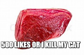 jkjkjkjkjkjkjk |  500 LIKES OR I KILL MY CAT | image tagged in meme | made w/ Imgflip meme maker