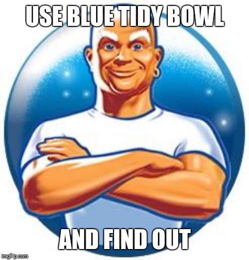 USE BLUE TIDY BOWL AND FIND OUT | made w/ Imgflip meme maker