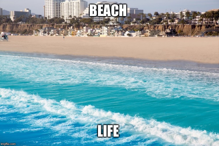 Beach Life | BEACH; LIFE | image tagged in beach | made w/ Imgflip meme maker