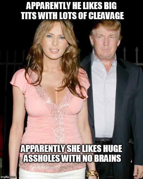 Cleavage and Butthead | APPARENTLY HE LIKES BIG TITS WITH LOTS OF CLEAVAGE; APPARENTLY SHE LIKES HUGE ASSHOLES WITH NO BRAINS | image tagged in don and mel,cleavage week,cleavage | made w/ Imgflip meme maker
