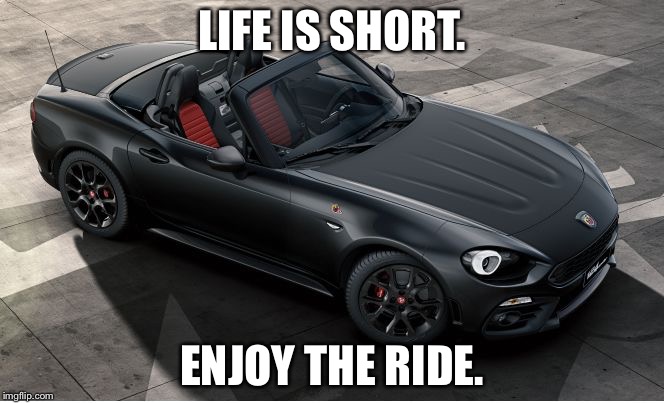 LIFE IS SHORT. ENJOY THE RIDE. | image tagged in spider | made w/ Imgflip meme maker