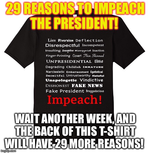 29 REASONS TO IMPEACH THE PRESIDENT! WAIT ANOTHER WEEK, AND THE BACK OF THIS T-SHIRT WILL HAVE 29 MORE REASONS! | image tagged in dump trump | made w/ Imgflip meme maker