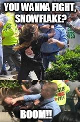 Whiny Liberal Gets Leveled | YOU WANNA FIGHT, SNOWFLAKE? BOOM!! | image tagged in libtards,punched | made w/ Imgflip meme maker