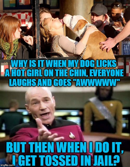 Is it still Dog week? | WHY IS IT WHEN MY DOG LICKS A HOT GIRL ON THE CHIN, EVERYONE LAUGHS AND GOES "AWWWWW"; BUT THEN WHEN I DO IT, I GET TOSSED IN JAIL? | image tagged in tammyfaye,dog week | made w/ Imgflip meme maker