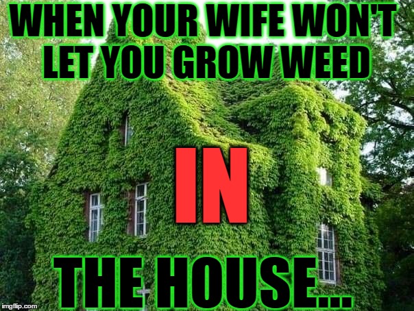 I DID Not Grow Weed in the House! | WHEN YOUR WIFE WON'T LET YOU GROW WEED; IN; THE HOUSE... | image tagged in what about the weed,weed,men vs women,first world stoner problems,lol so funny,420,housework if you do it right will kill you.  | made w/ Imgflip meme maker