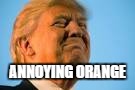 ANNOYING ORANGE | image tagged in donald trump | made w/ Imgflip meme maker