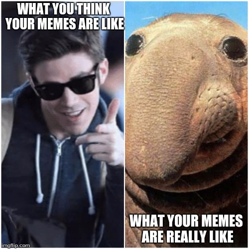 WHAT YOU THINK YOUR MEMES ARE LIKE; WHAT YOUR MEMES ARE REALLY LIKE | image tagged in what you think x is vs what x really is | made w/ Imgflip meme maker