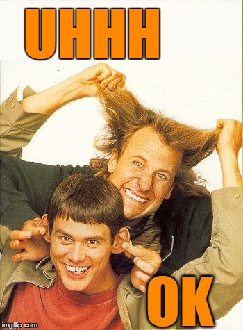 DUMB and dumber | UHHH OK | image tagged in dumb and dumber | made w/ Imgflip meme maker